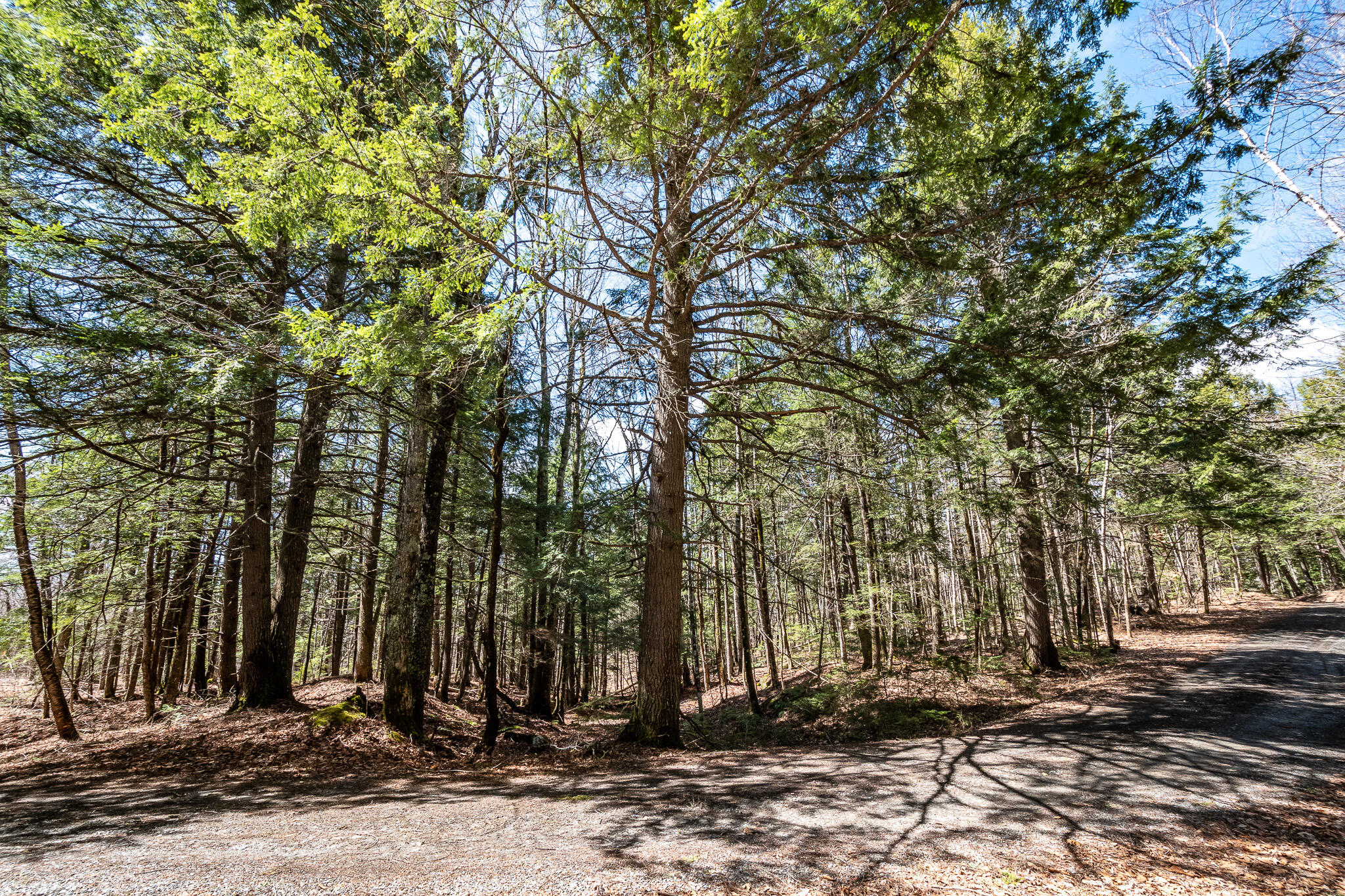 00 Bearce Road Sangerville ME 04479