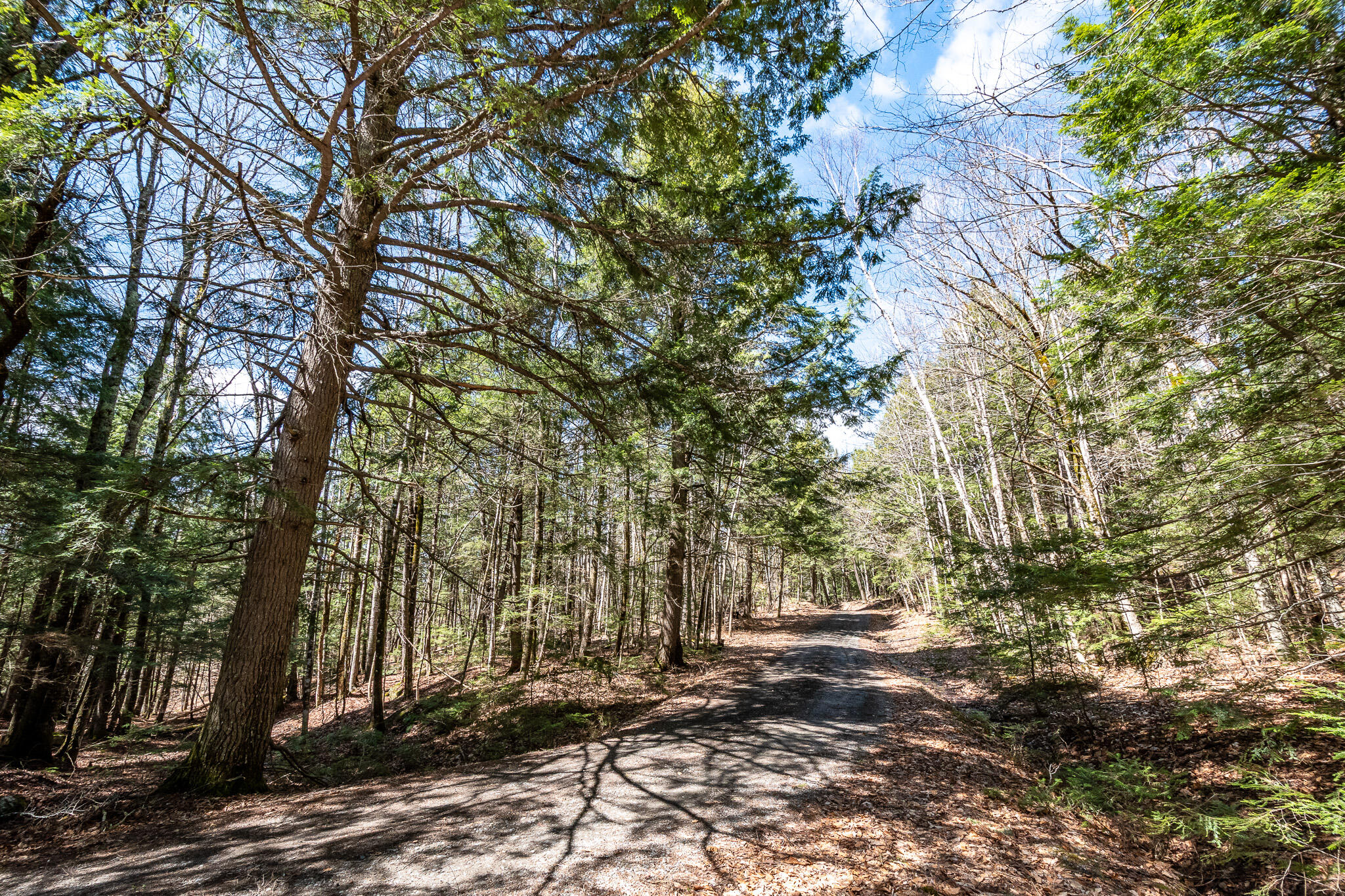 00 Bearce Road Sangerville ME 04479