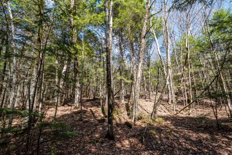 00 Bearce Road Sangerville ME 04479