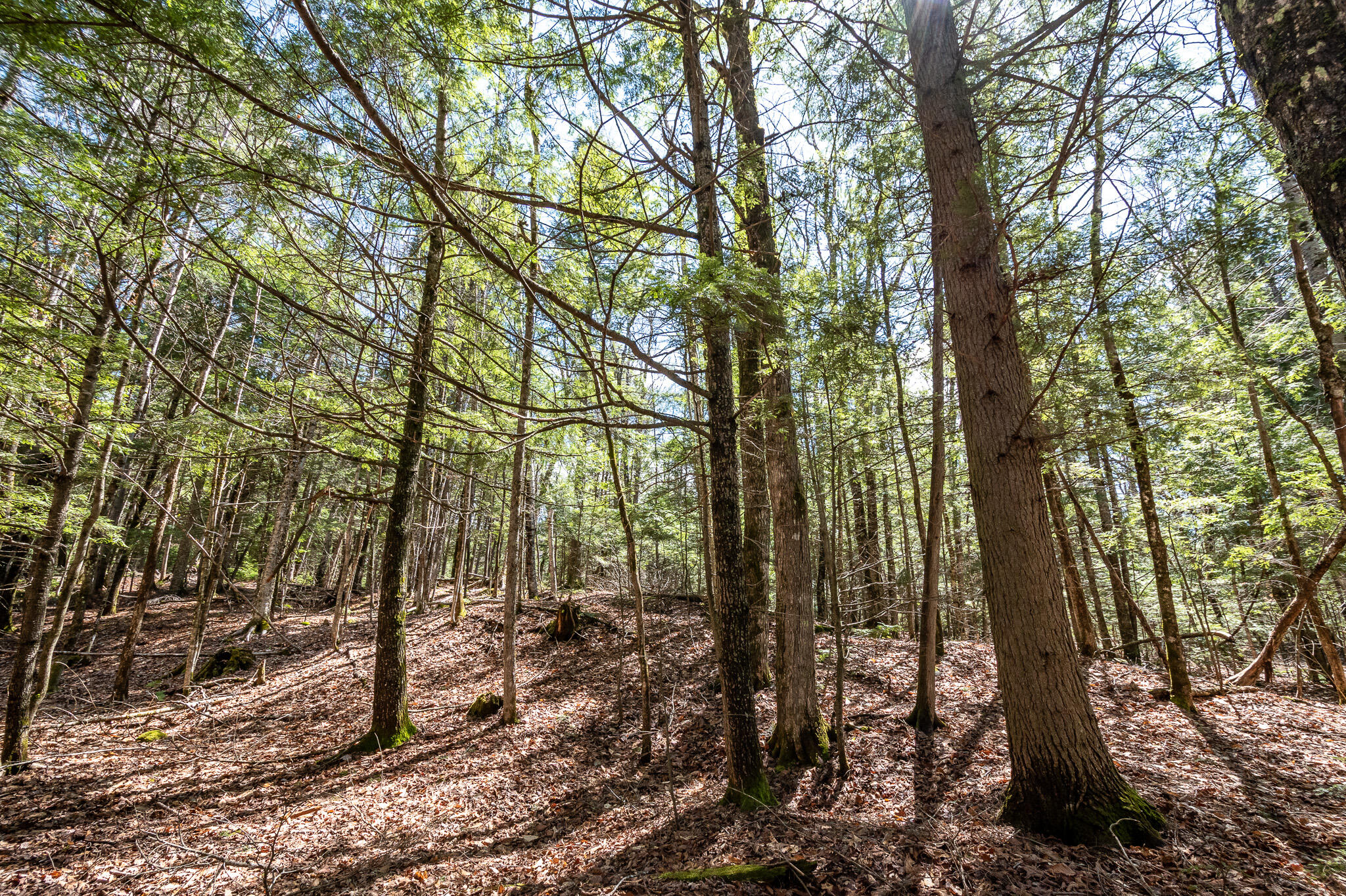 00 Bearce Road Sangerville ME 04479