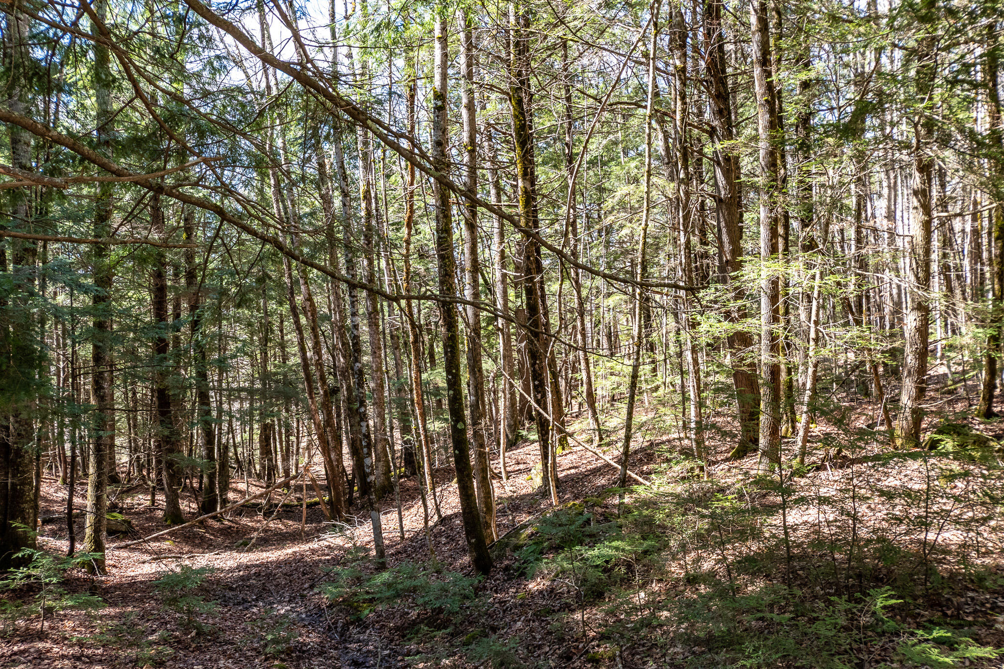 00 Bearce Road Sangerville ME 04479