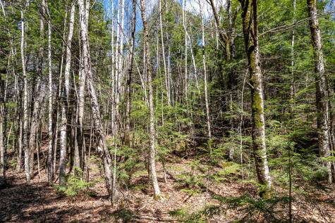 00 Bearce Road Sangerville ME 04479