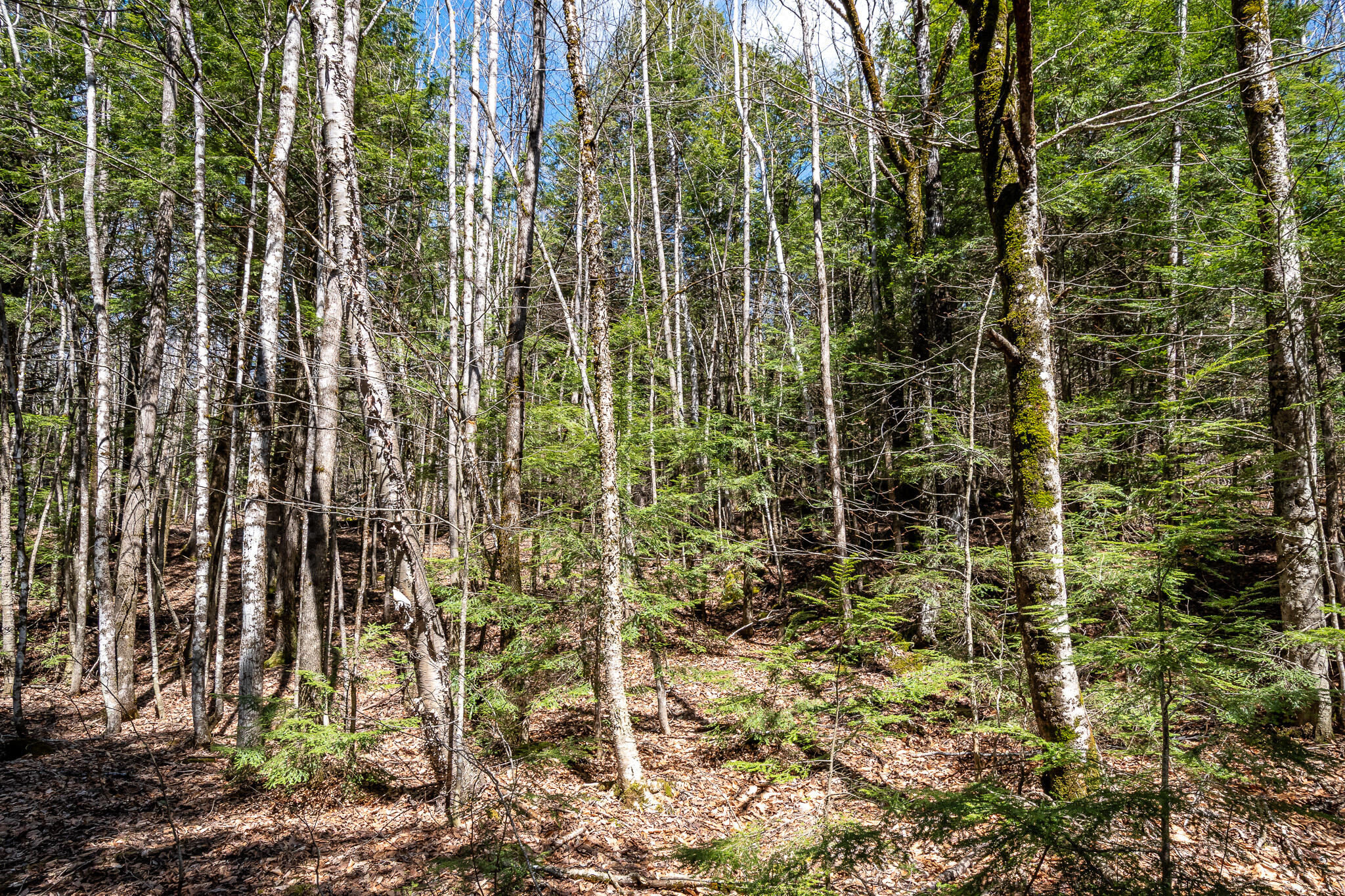 00 Bearce Road Sangerville ME 04479