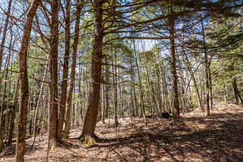 00 Bearce Road Sangerville ME 04479