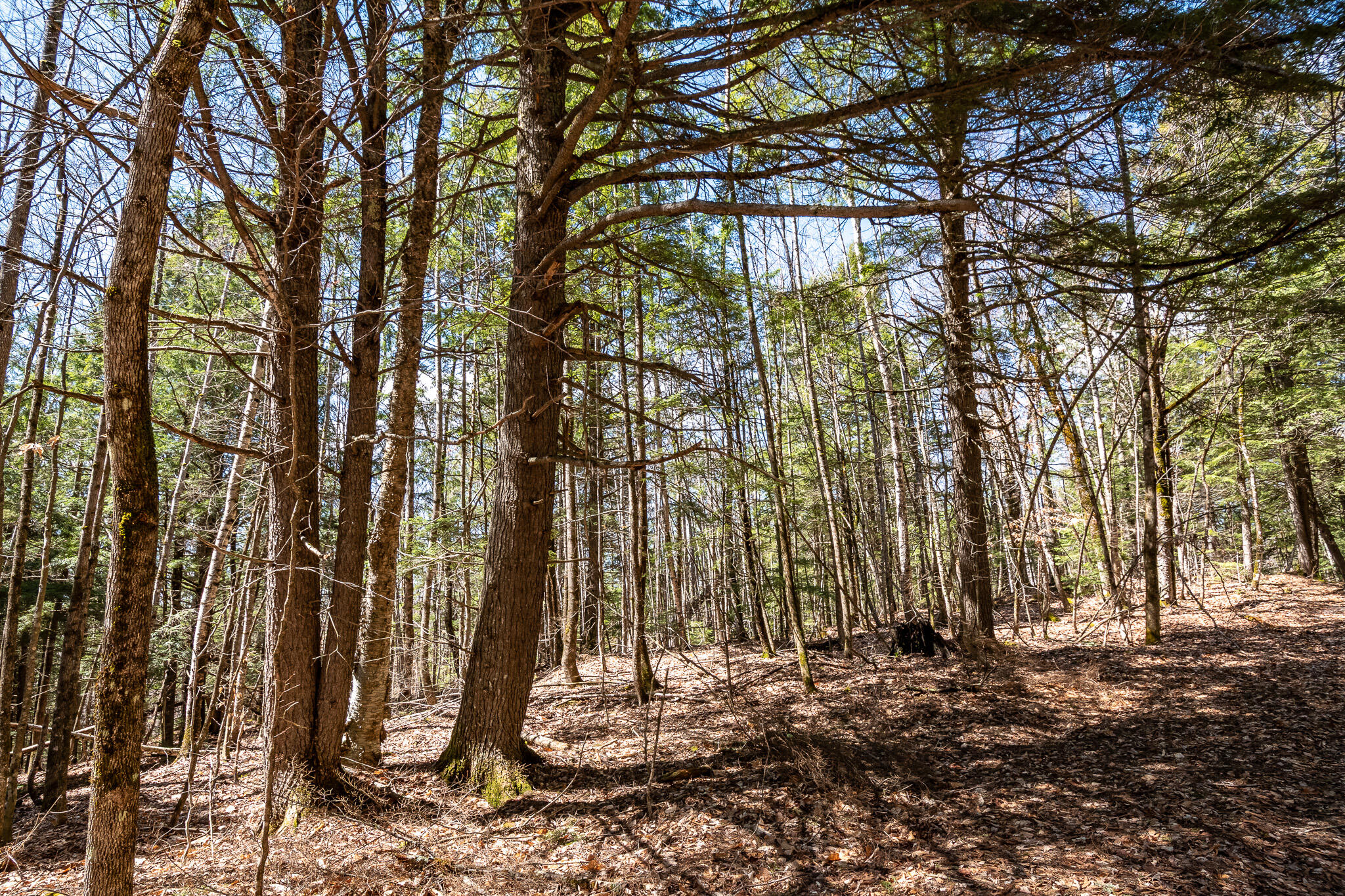 00 Bearce Road Sangerville ME 04479