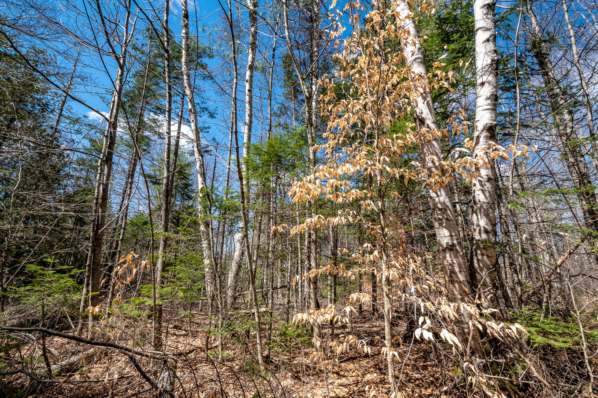 00 Bearce Road Sangerville ME 04479