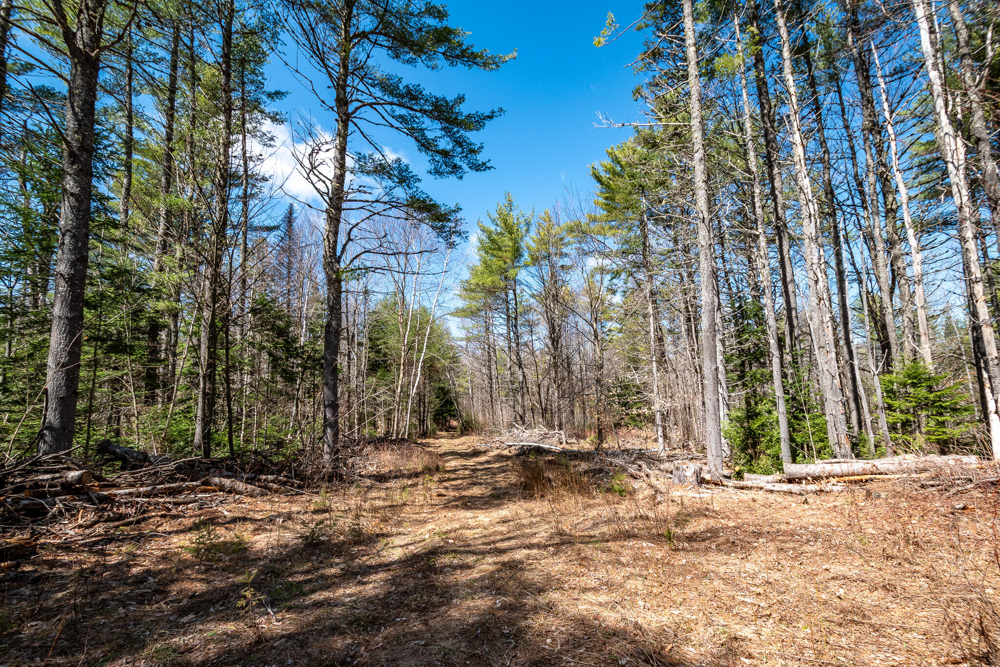 00 Bearce Road Sangerville ME 04479