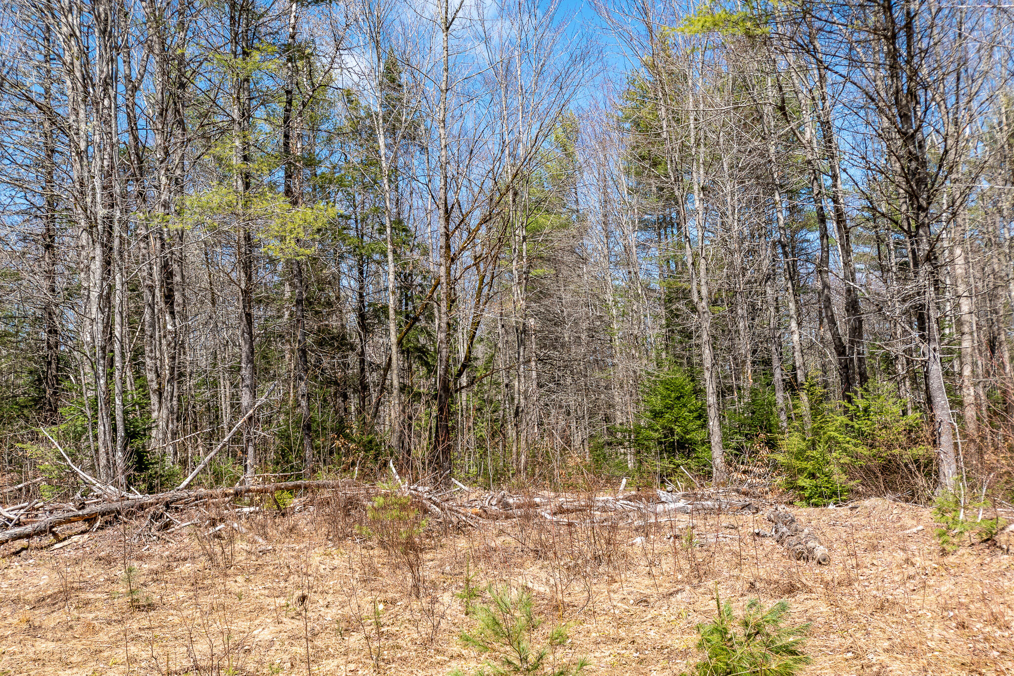 00 Bearce Road Sangerville ME 04479