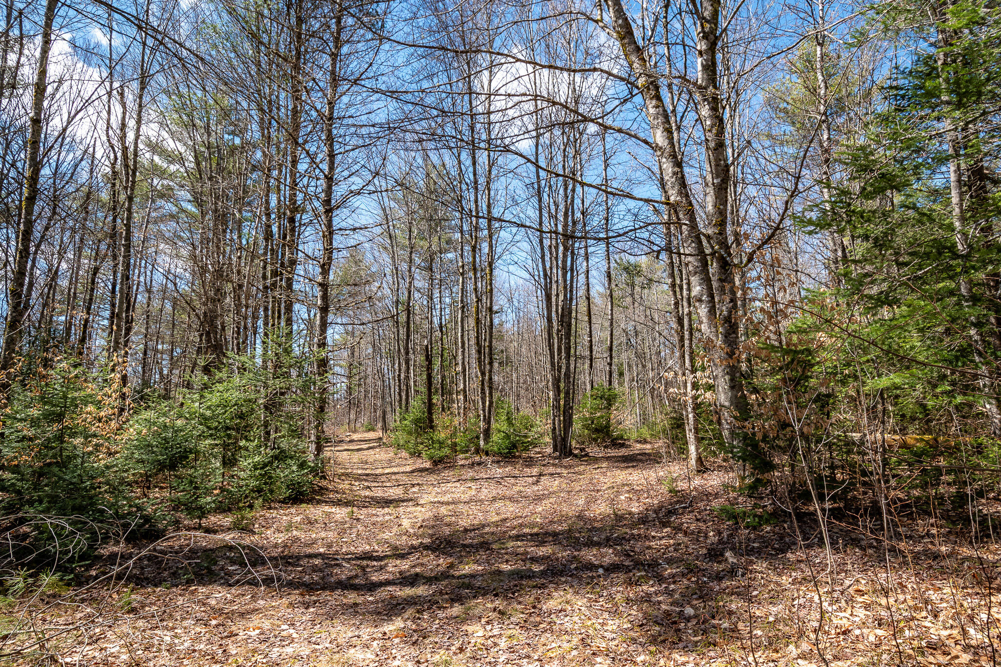 00 Bearce Road Sangerville ME 04479