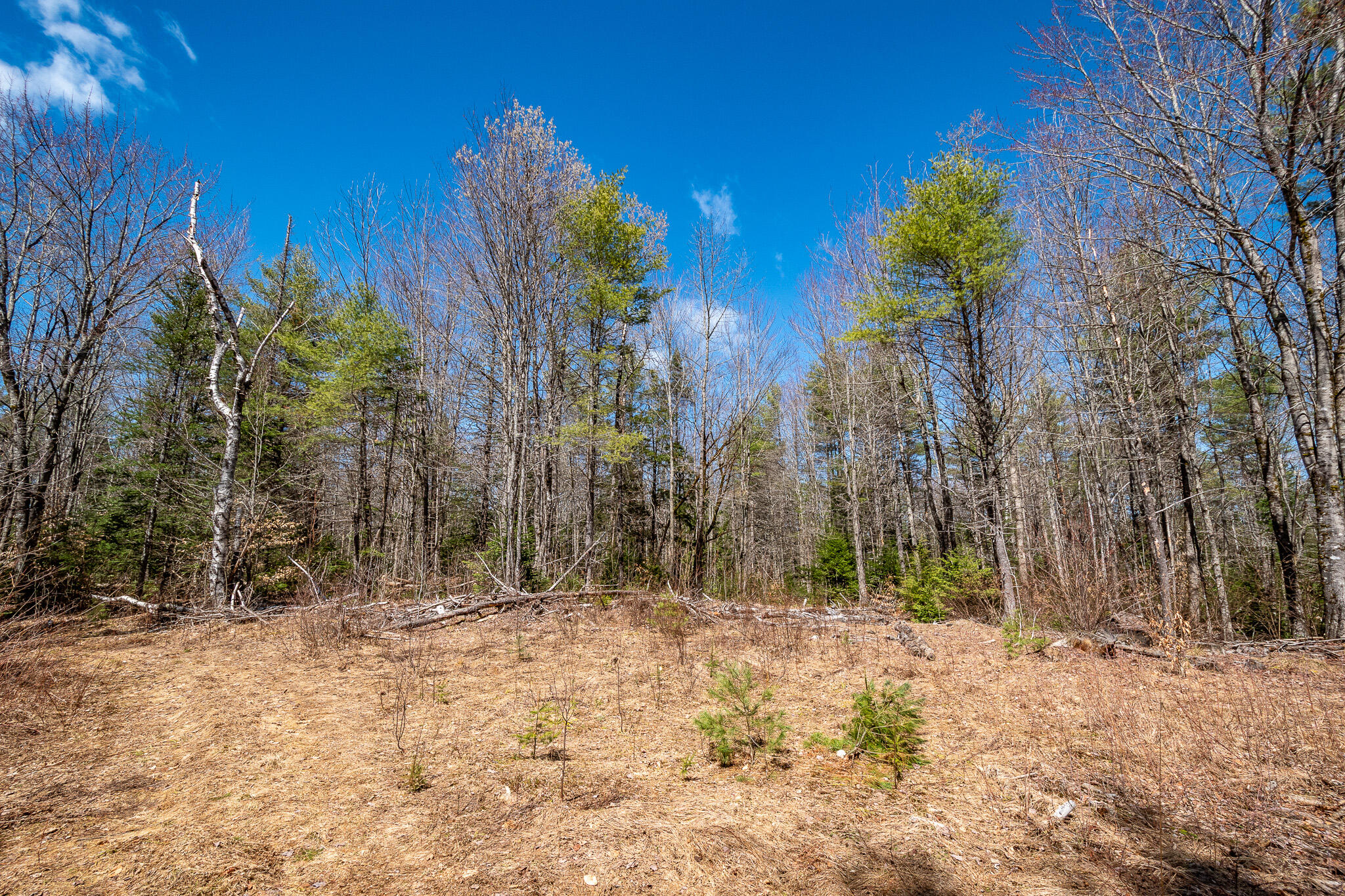 00 Bearce Road Sangerville ME 04479