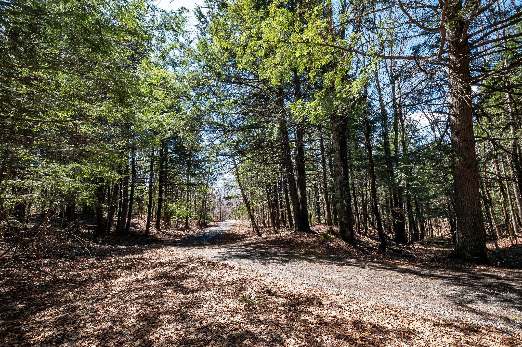 00 Bearce Road Sangerville ME 04479