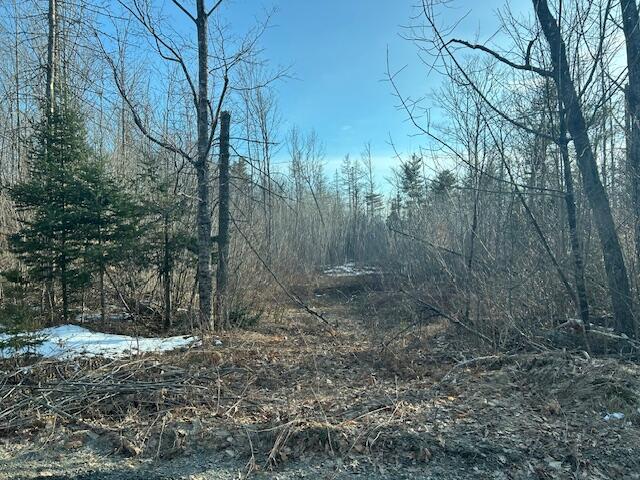 32 Atkinson Road Bradford ME 04410