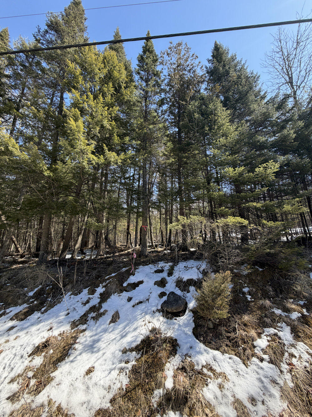 259 Page Hill Road Ripley ME 04923