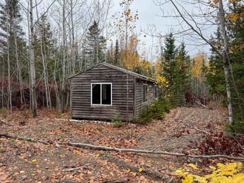 M10L1 Off Route 1 Pembroke ME 04666