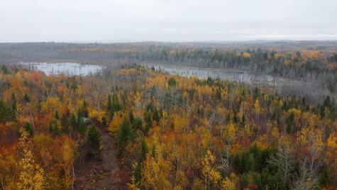 M10L1 Off Route 1 Pembroke ME 04666