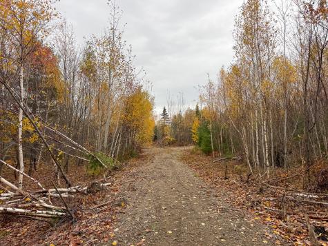 M10L1 Off Route 1 Pembroke ME 04666