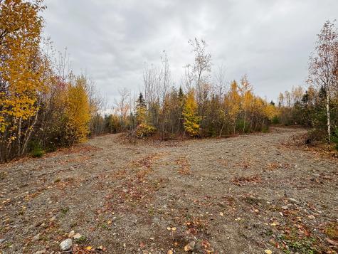 M10L1 Off Route 1 Pembroke ME 04666