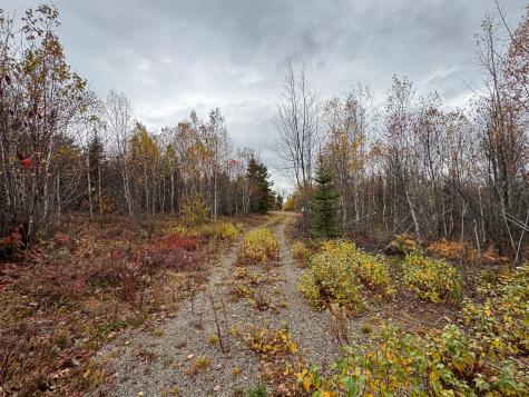 M10L1 Off Route 1 Pembroke ME 04666