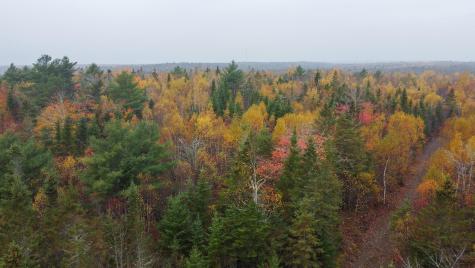 M10L1 Off Route 1 Pembroke ME 04666