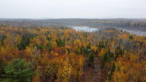 M10L1 Off Route 1 Pembroke ME 04666