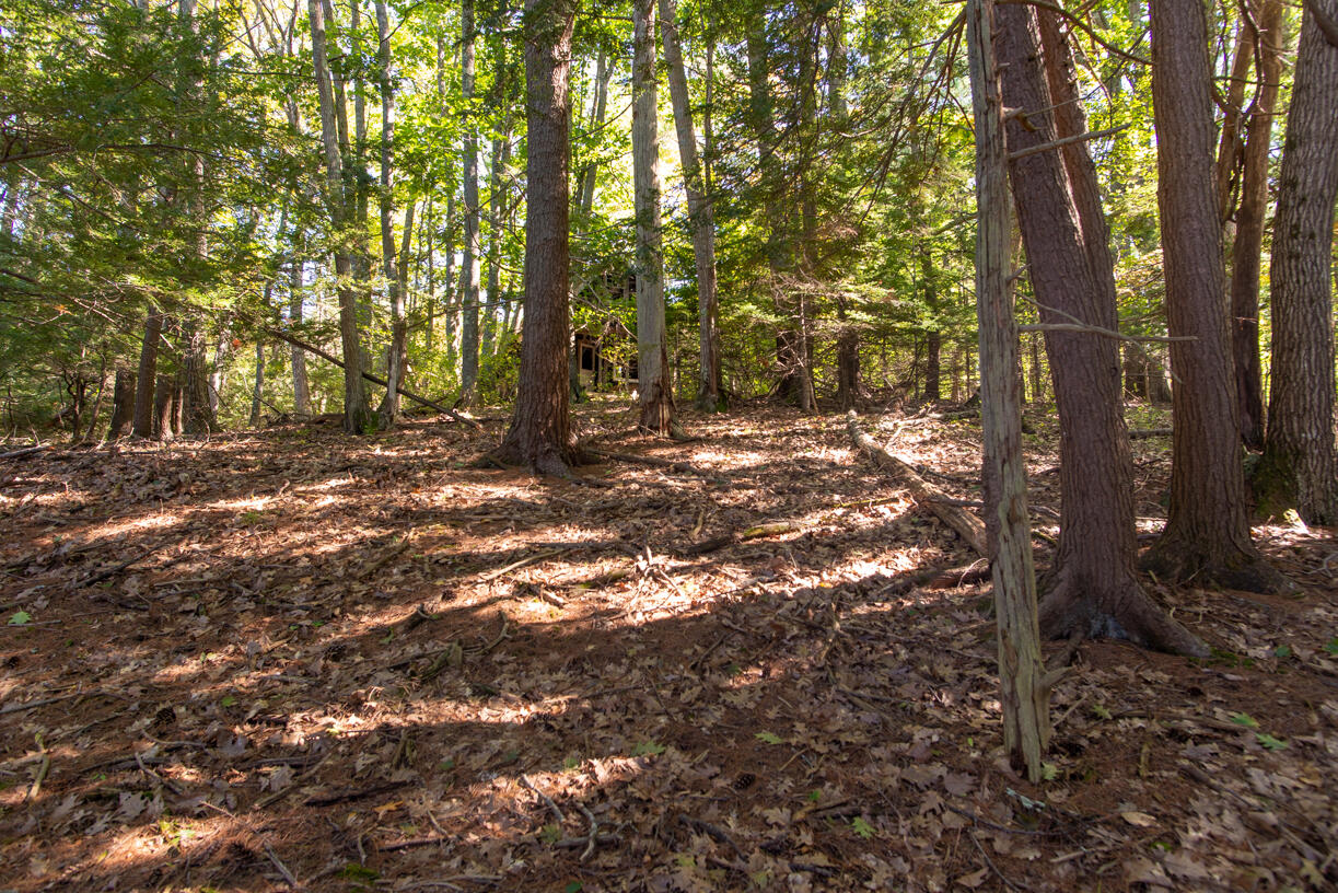 1 Slack Tide Lane Freeport ME 04032