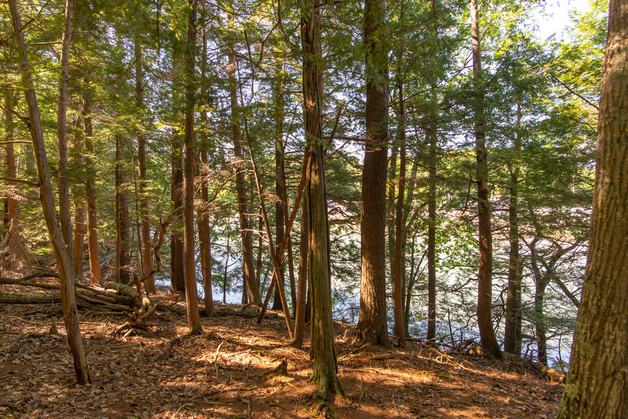 1 Slack Tide Lane Freeport ME 04032