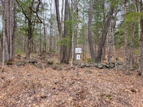 Lot #1 W West Fryeburg Road Fryeburg ME 04037