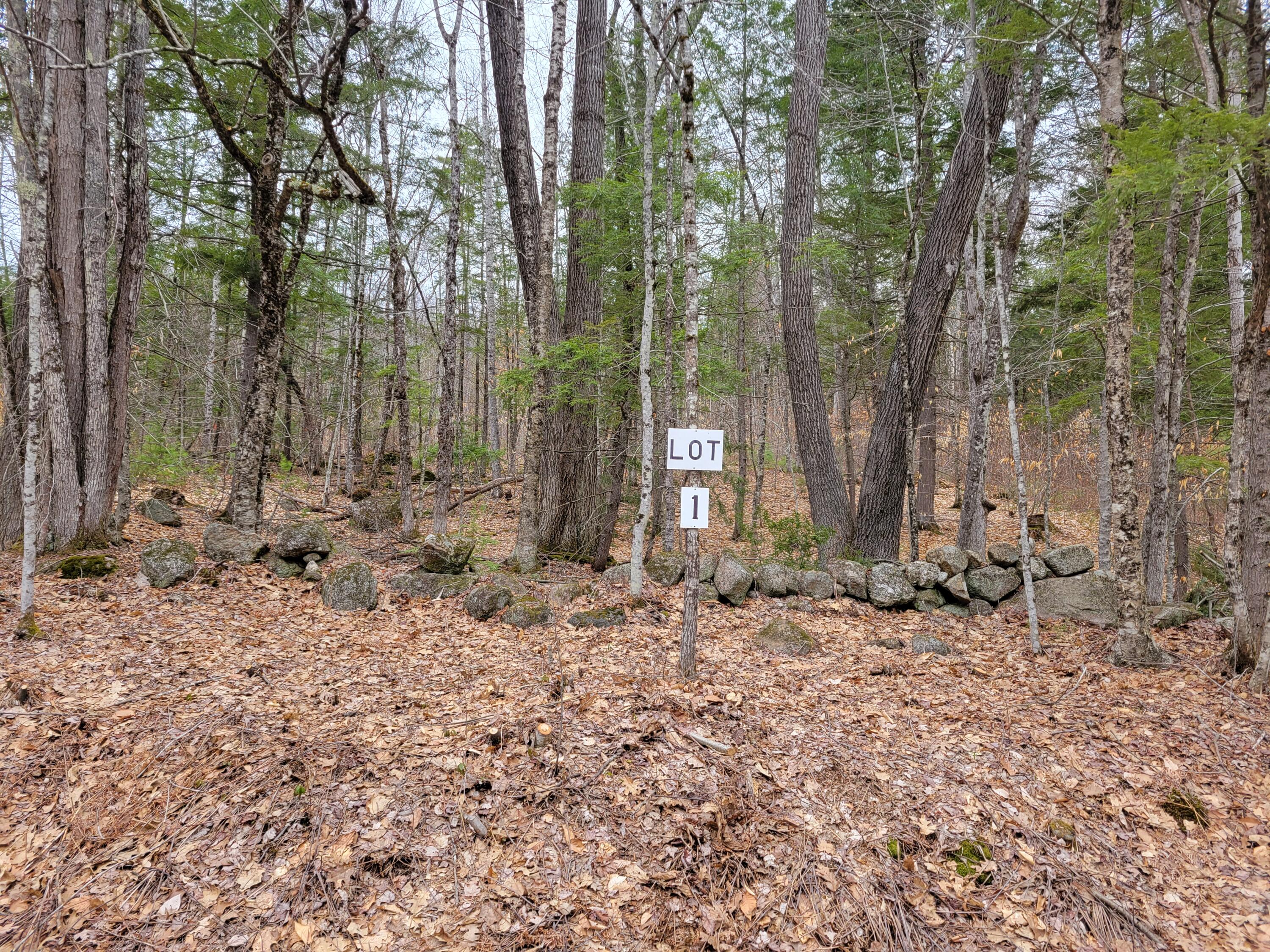 Lot #1 W West Fryeburg Road Fryeburg ME 04037