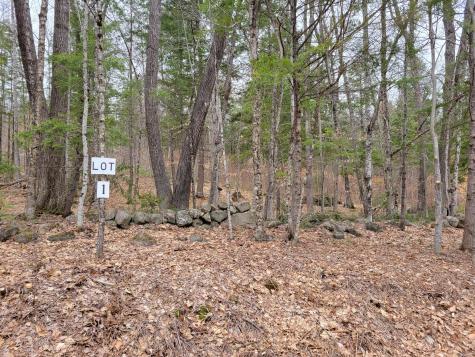 Lot #1 W West Fryeburg Road Fryeburg ME 04037