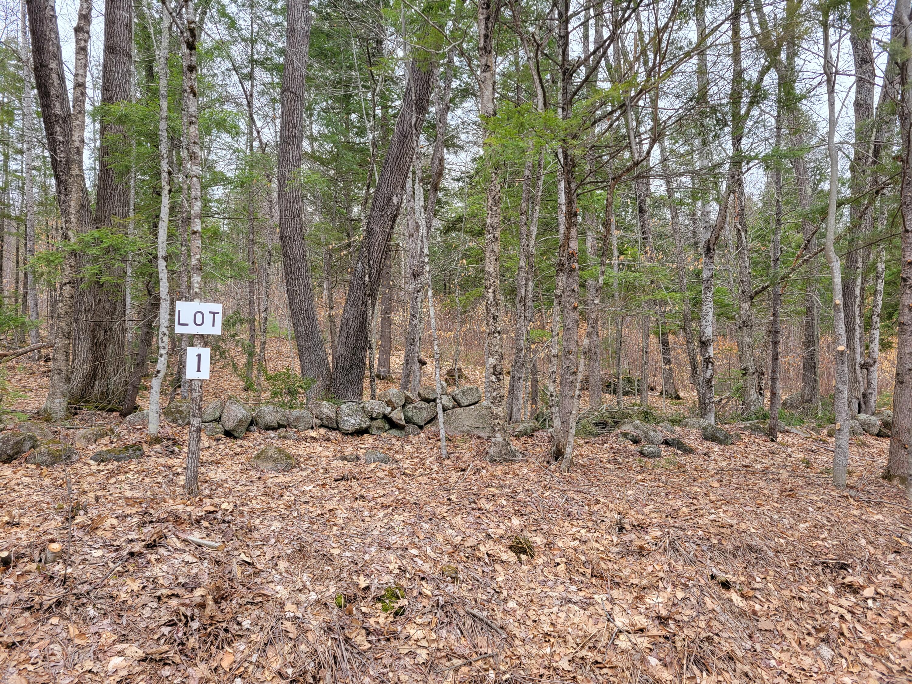 Lot #1 W West Fryeburg Road Fryeburg ME 04037