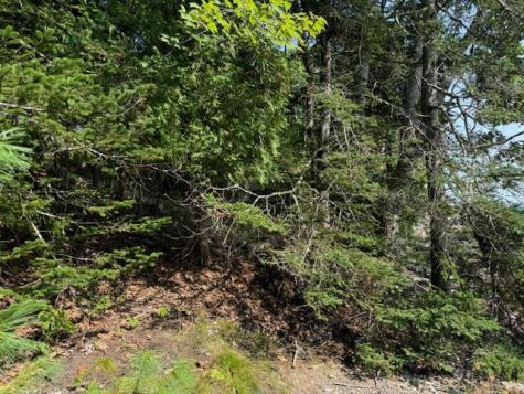 Lot C Long Point Road Harpswell ME 04079