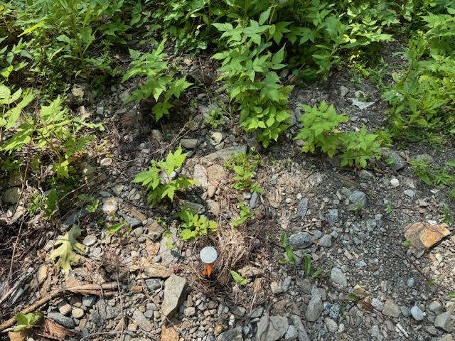 Lot C Long Point Road Harpswell ME 04079