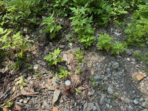 Lot C Long Point Road Harpswell ME 04079