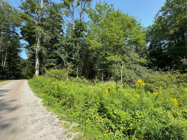 Lot C Long Point Road Harpswell ME 04079