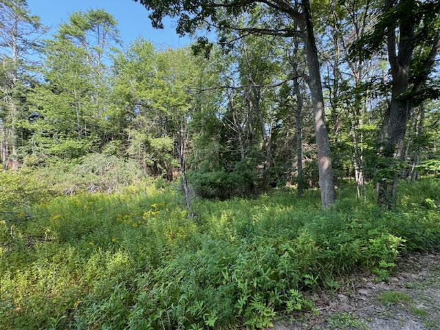 Lot C Long Point Road Harpswell ME 04079