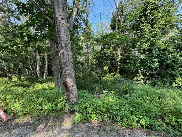 Lot C Long Point Road Harpswell ME 04079