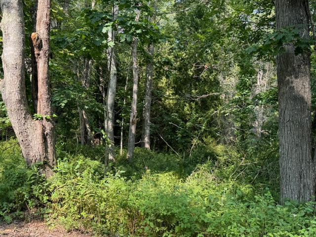 Lot C Long Point Road Harpswell ME 04079