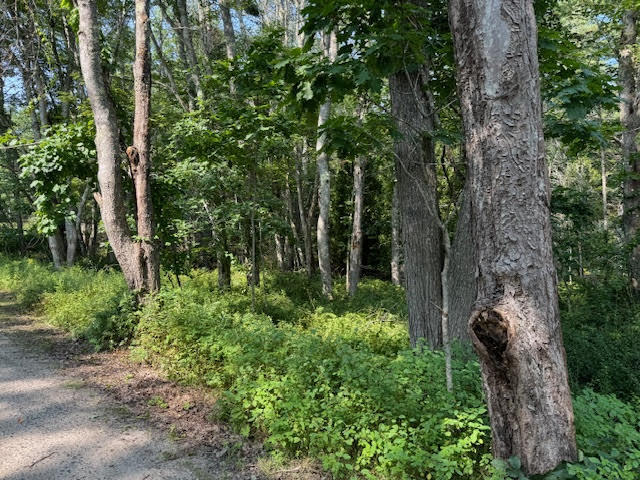 Lot C Long Point Road Harpswell ME 04079