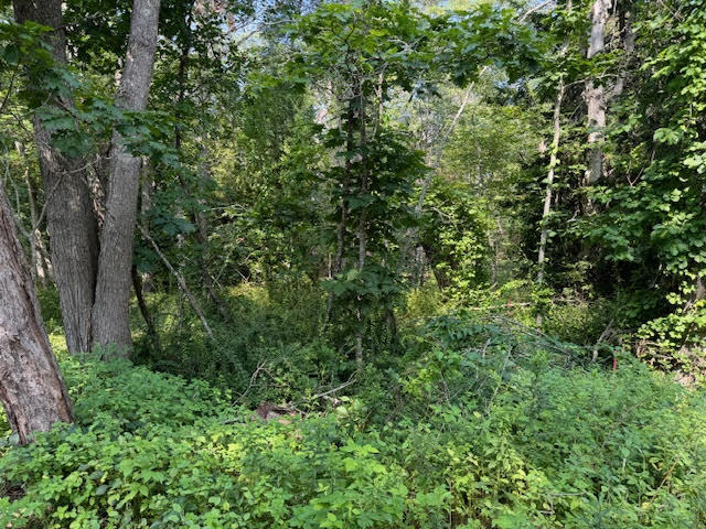 Lot C Long Point Road Harpswell ME 04079