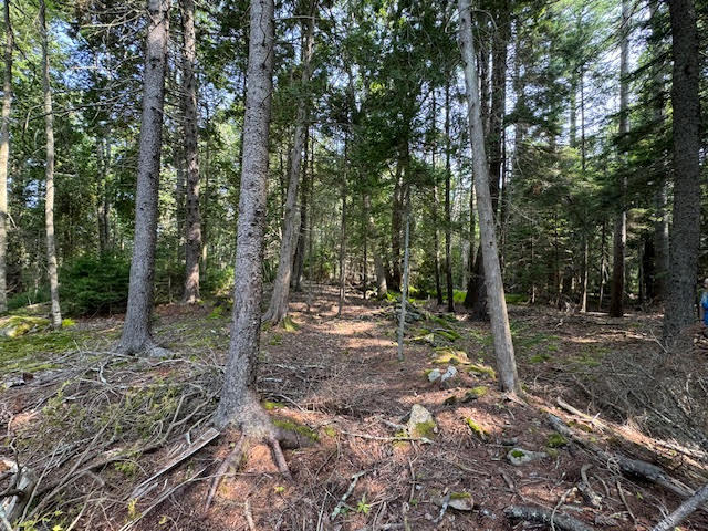 Lot C Long Point Road Harpswell ME 04079