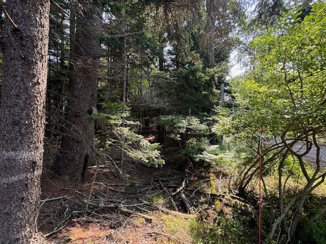 Lot C Long Point Road Harpswell ME 04079