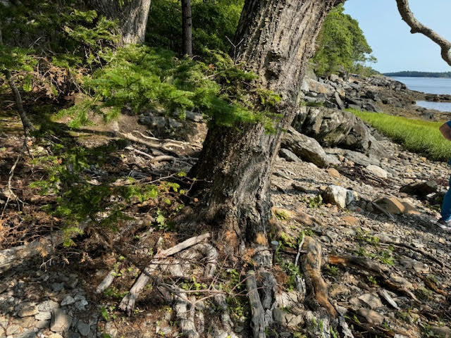 Lot C Long Point Road Harpswell ME 04079