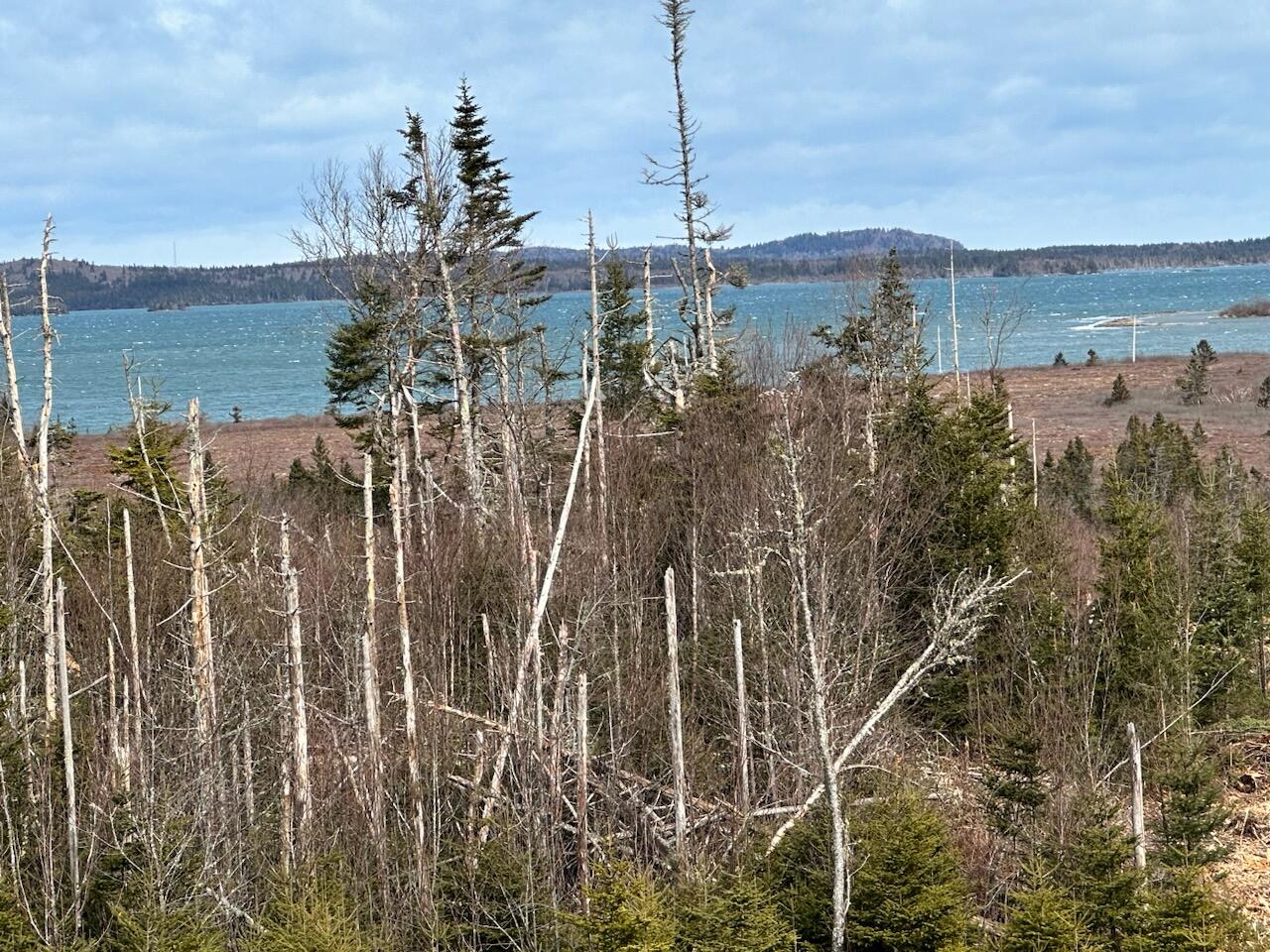 25A-14 Blackwood Lane Lubec ME 04652