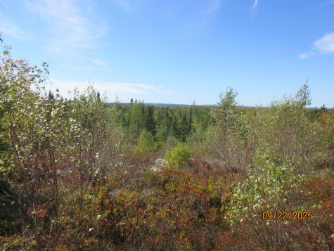 Lot #7 Highland Road Addison ME 04606