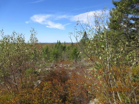 Lot #7 Highland Road Addison ME 04606