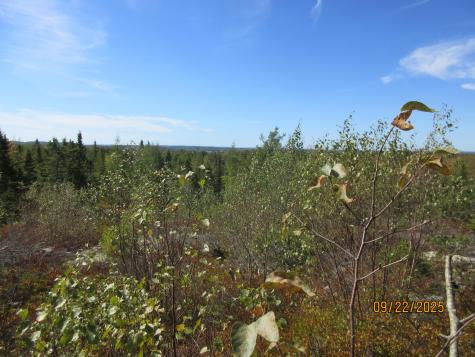 Lot #7 Highland Road Addison ME 04606