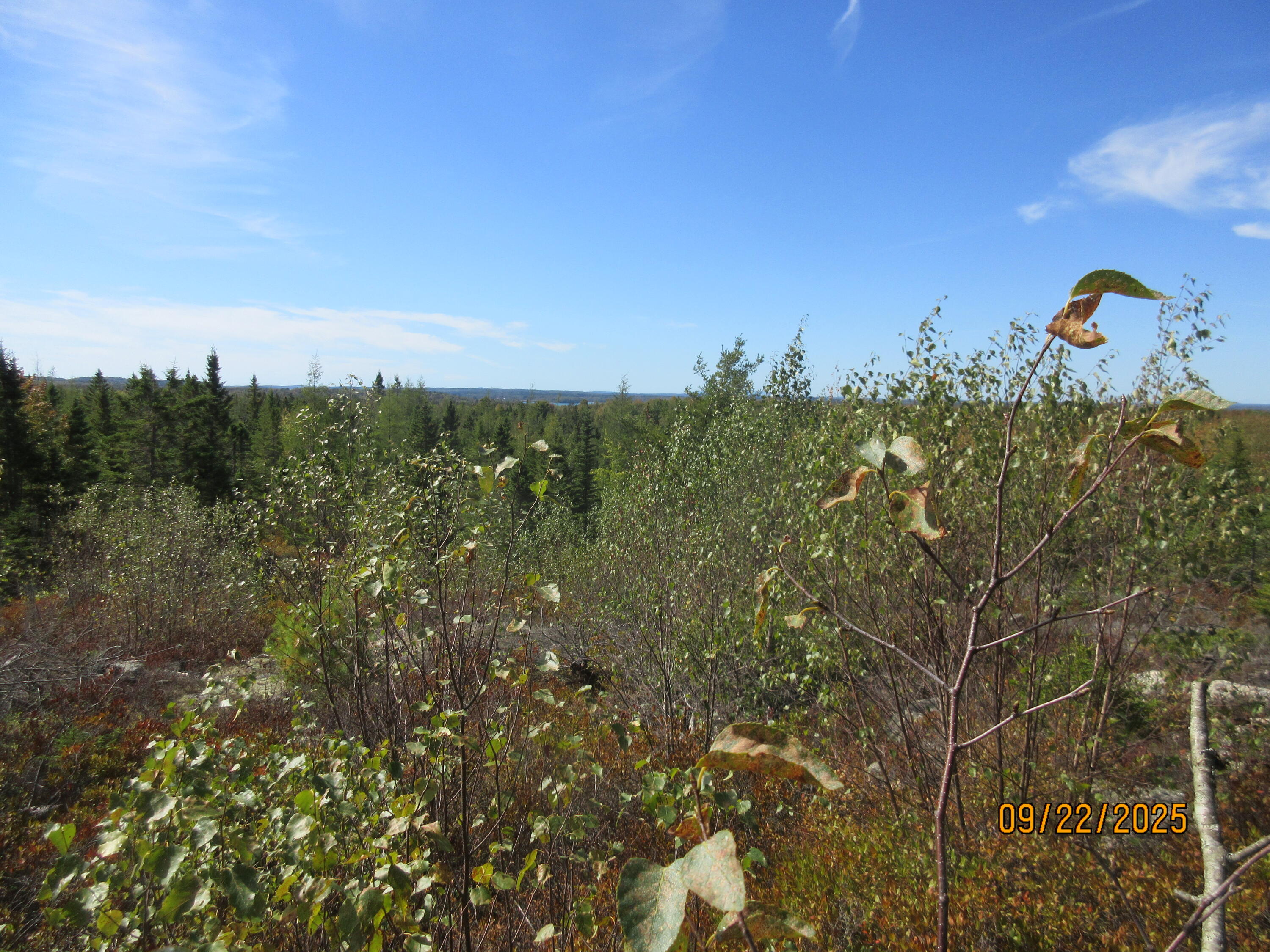 Lot #7 Highland Road Addison ME 04606