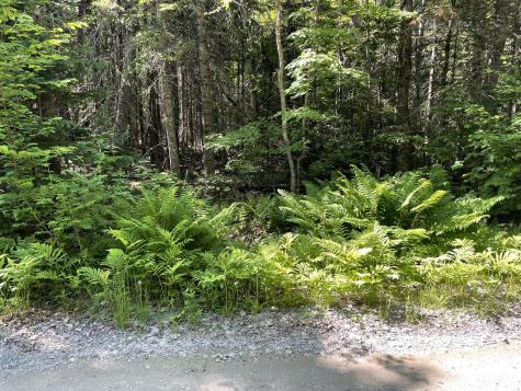 Lot 9-4 Lilly Drive Newport ME 04953