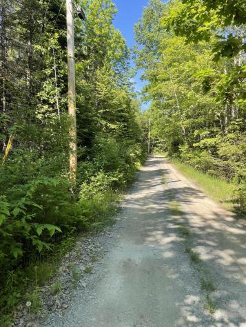Lot 9-4 Lilly Drive Newport ME 04953