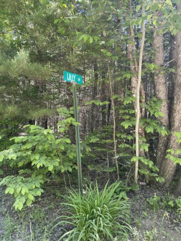 Lot 9-4 Lilly Drive Newport ME 04953